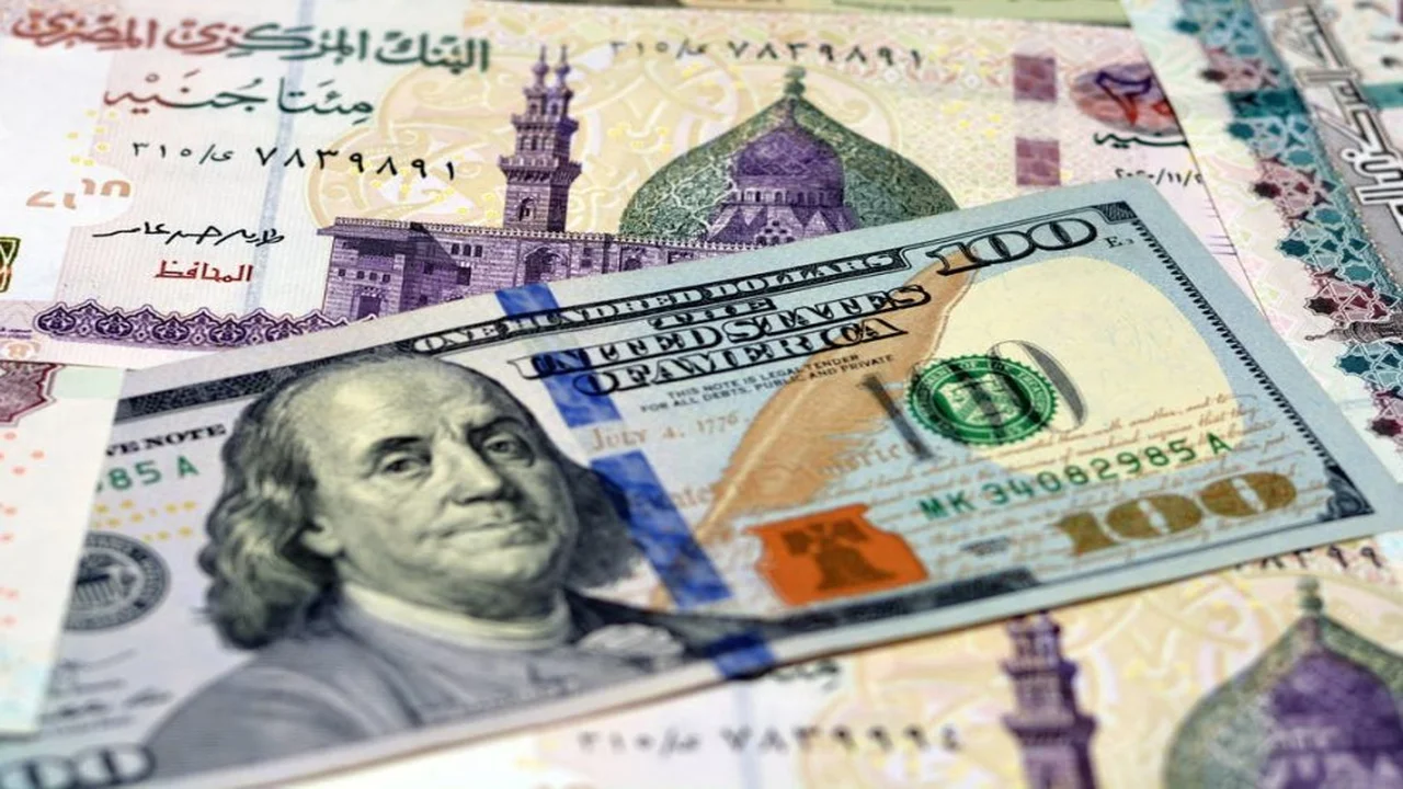استقرار سعر الدولار أمام الجنيه في تعاملات البنوك المصرية اليوم